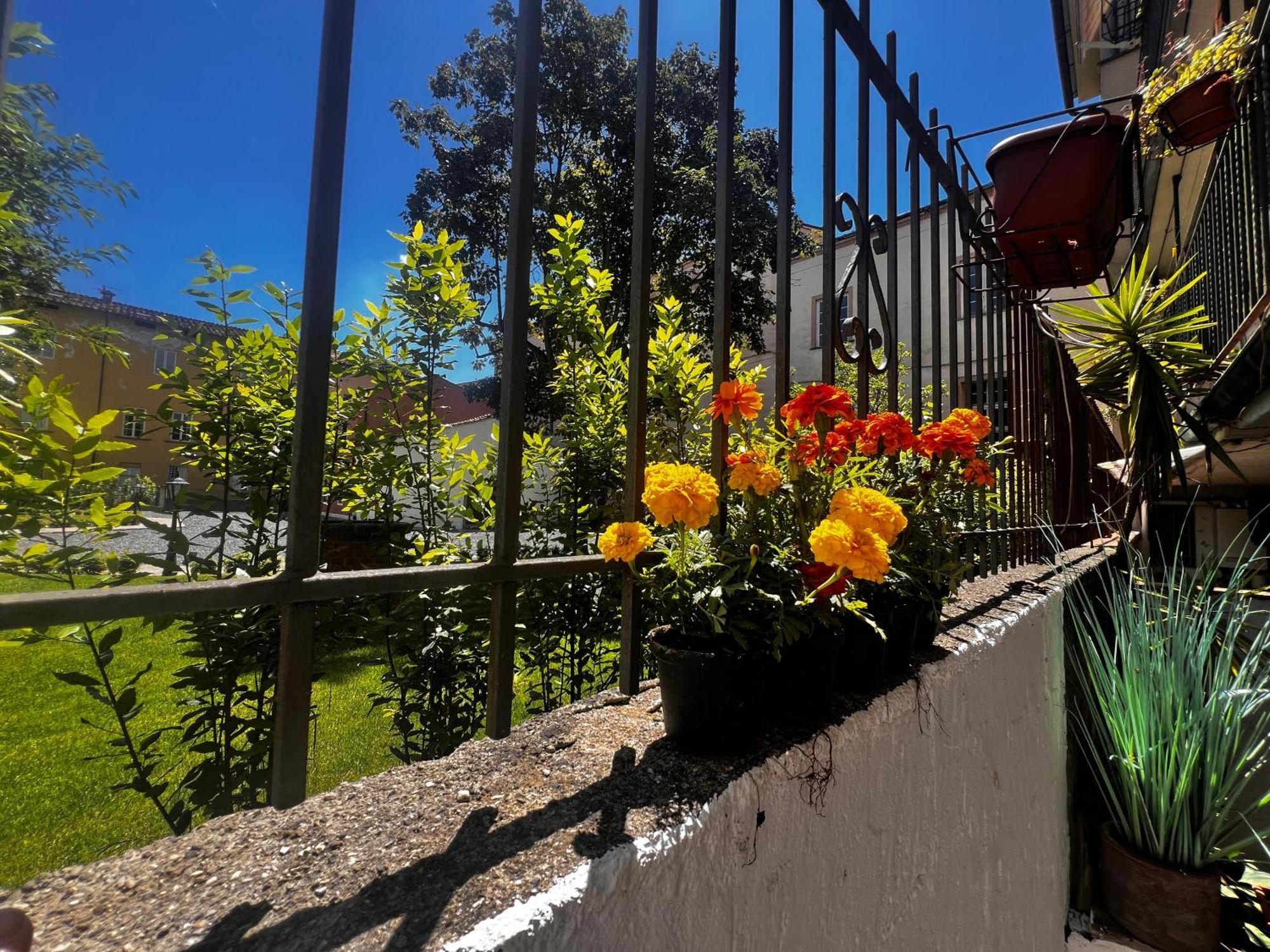 Casa In Pelleria Apartman Lucca Kültér fotó